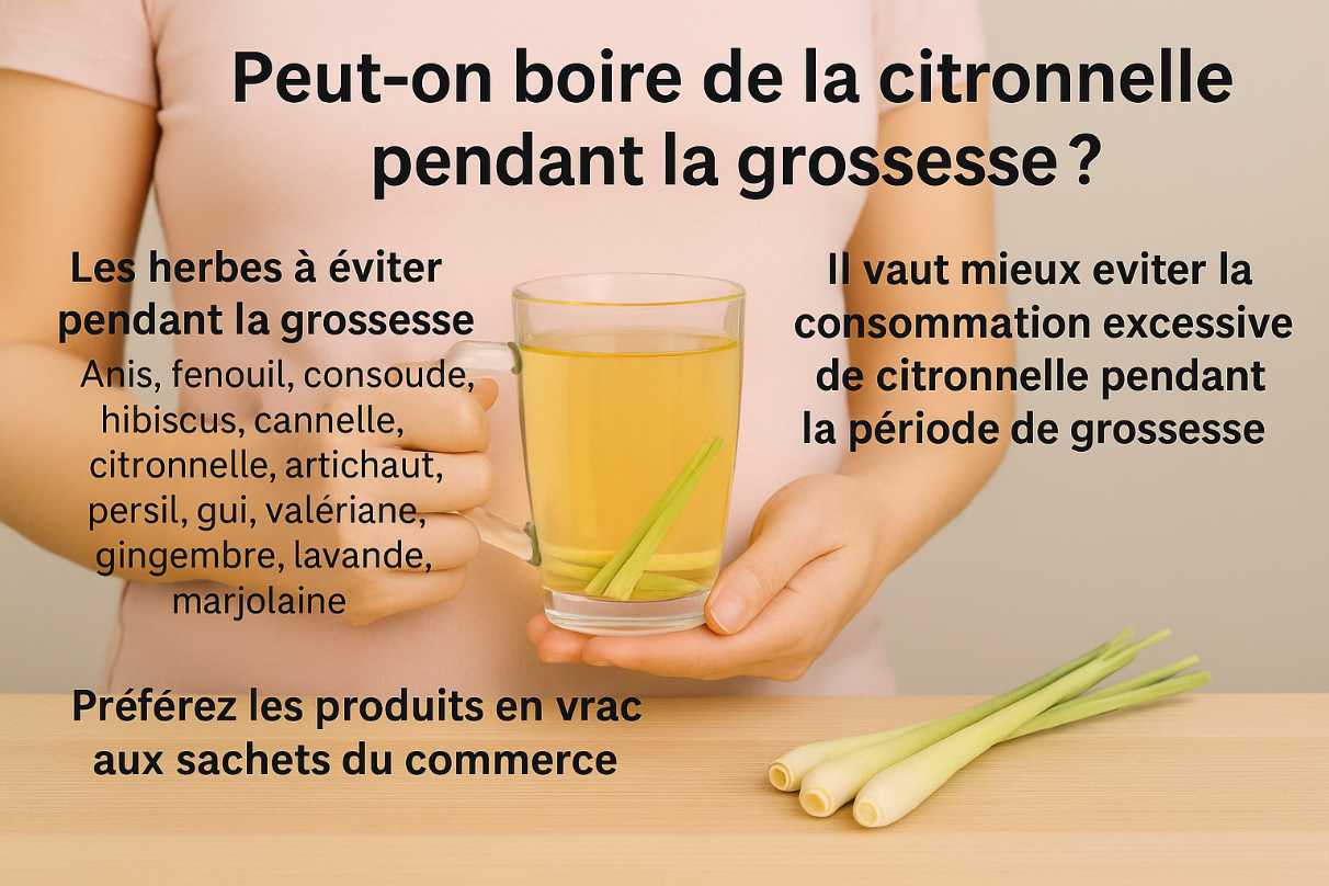 Citronnelle et grossesse : précautions à prendre