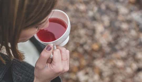 Rooibos