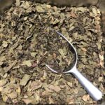 Thé vert à la menthe Marrakesh Nights Premium