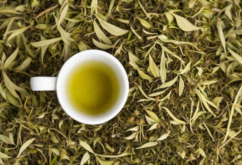 tisane myrte citronné